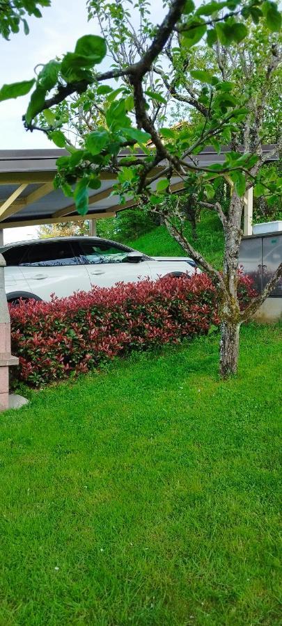 Apartma B & O Idrija Luaran gambar