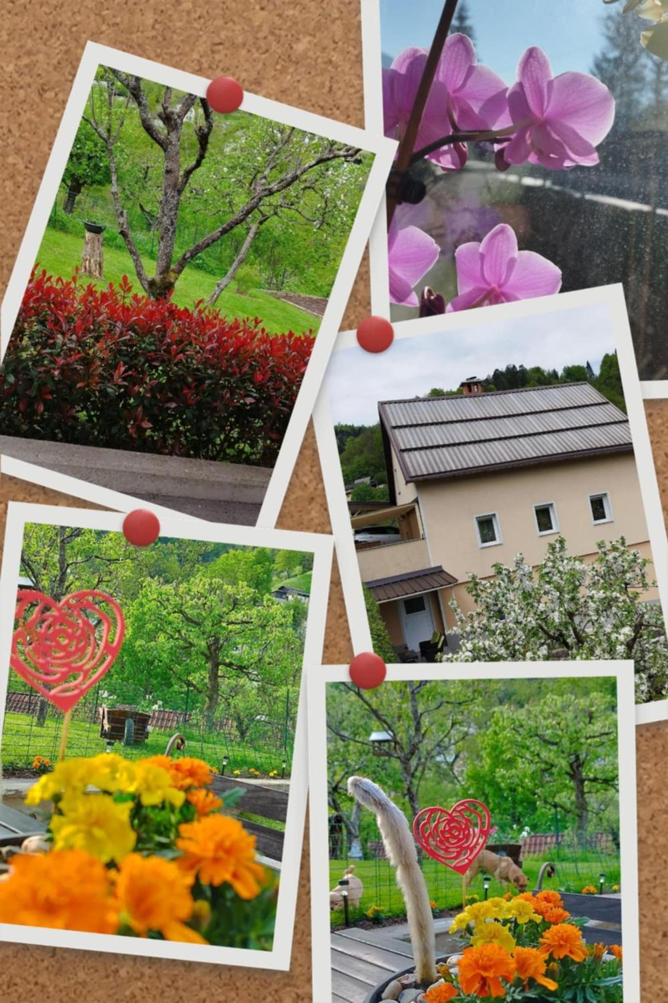 Apartma B & O Idrija Luaran gambar